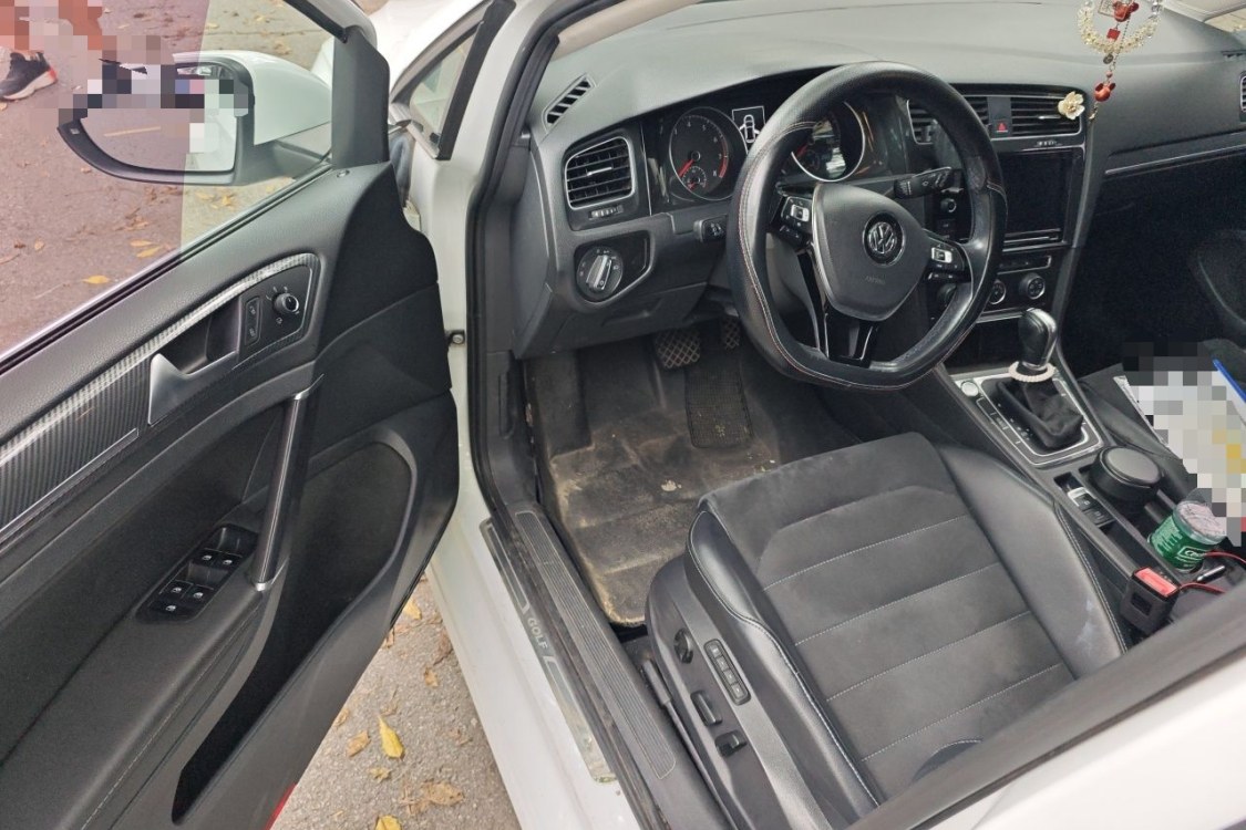 Volkswagen Golf 2019 car image #13