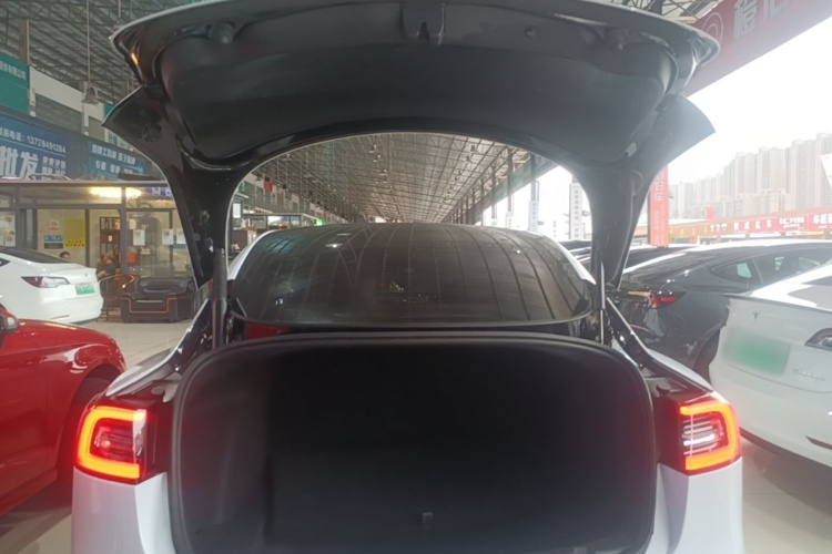 Tesla Model 3 2021 #19 Tesla Model 3 2021 car image #19