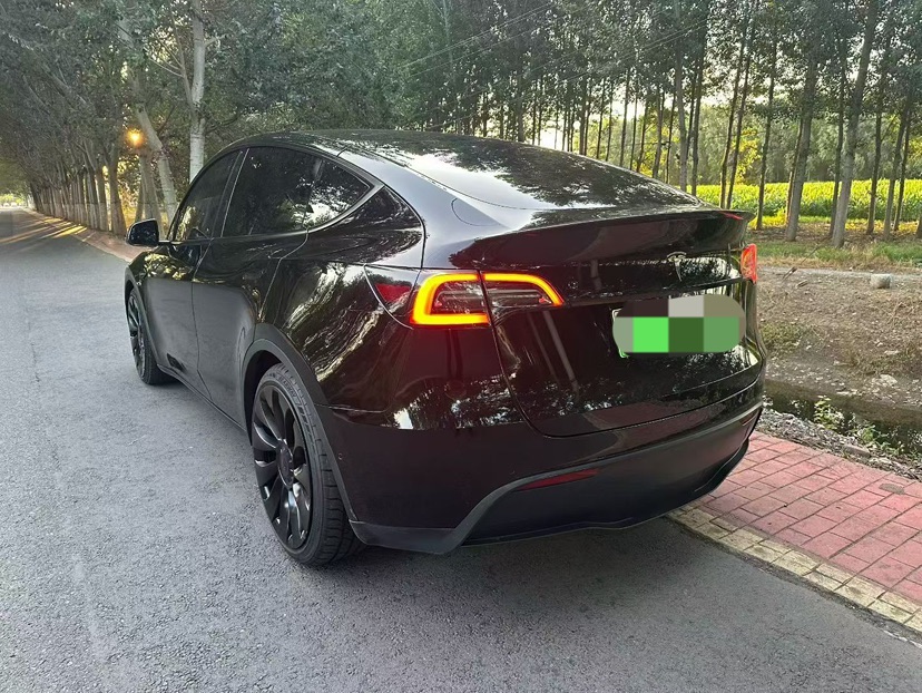 Tesla Model Y 2022 car image #3