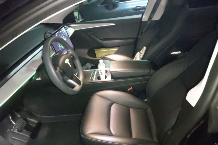 Tesla Model Y 2024 car image #17