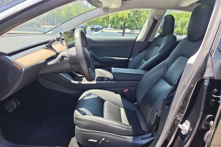 Tesla Model 3 2020 car image #10