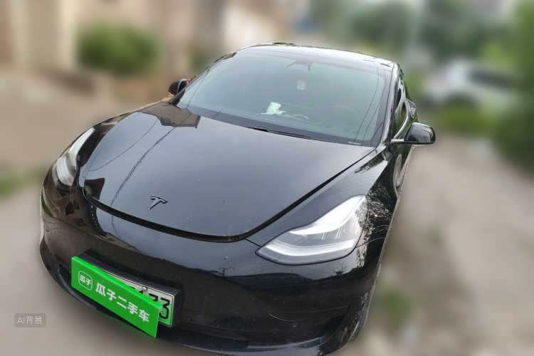 Tesla Model 3 2020 #2 Tesla Model 3 2020 car image #2