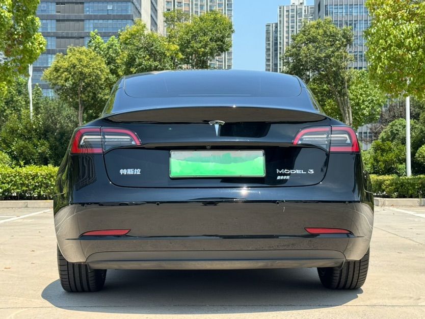 Tesla Model 3 2021 #4 Tesla Model 3 2021 car image #4