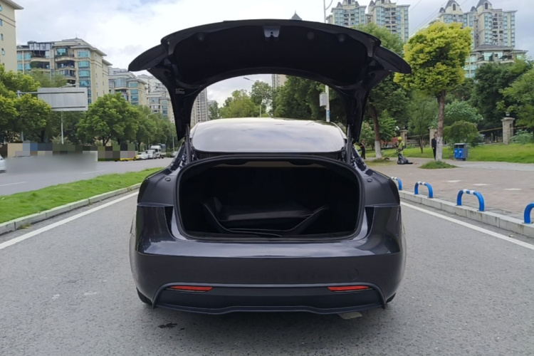 Tesla Model 3 2024 imagem de carro #19