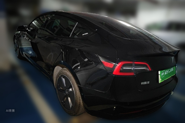 Tesla Model 3 2021 #5 Tesla Model 3 2021 car image #5