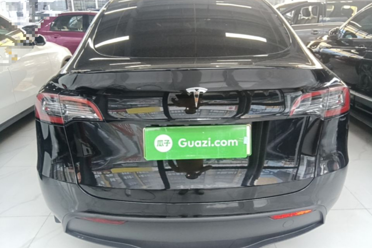 Tesla Model Y 2021 car image #6