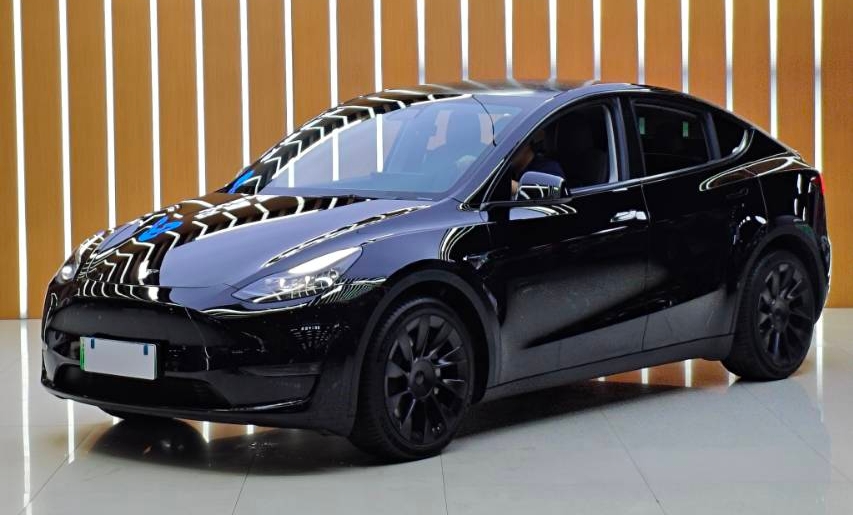 Tesla Model Y 2021 immagine di auto 
