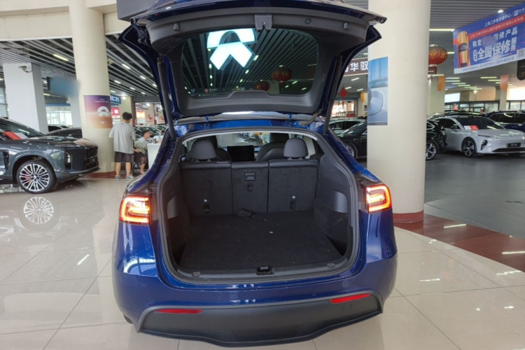 Tesla Model Y 2021 car image #19