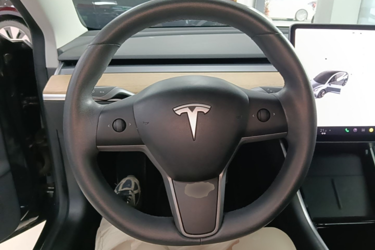 Tesla Model 3 2020 car image #11