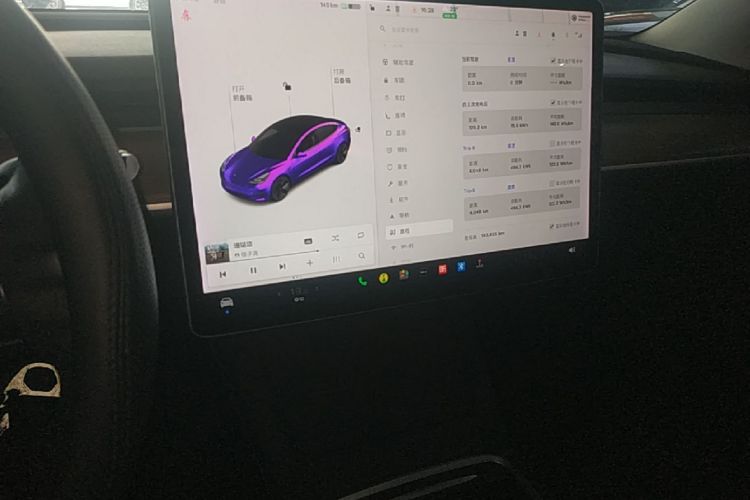 Tesla Model 3 2021 car image #13