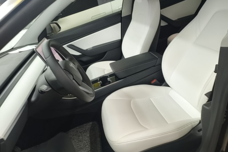 Tesla Model 3 2020 car image #19