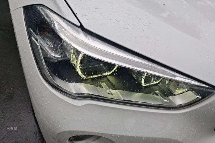 BMW X1 2019 car image #8