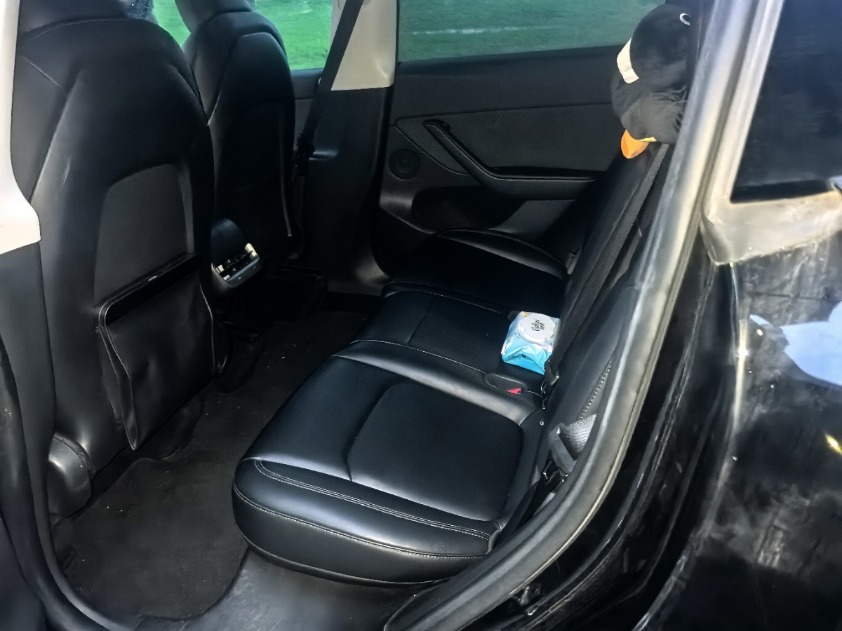 Tesla Model Y 2023 car image #4