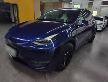 Tesla Model Y 2023 Tesla Model Y 2023 car image
