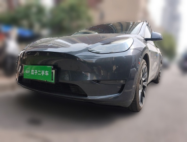 Tesla Model Y 2021 Tesla Model Y 2021 car image