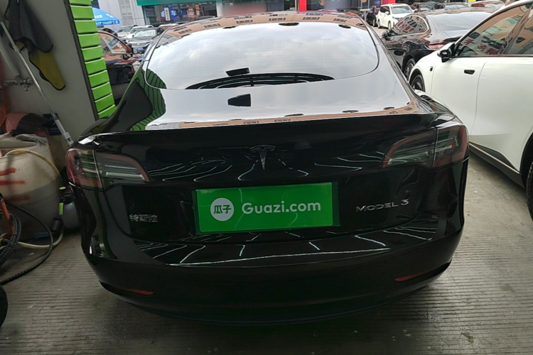 Tesla Model 3 2021 #6 Tesla Model 3 2021 car image #6