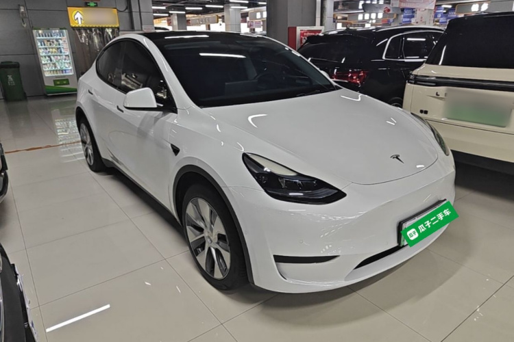 Tesla Model Y 2023 car image #4