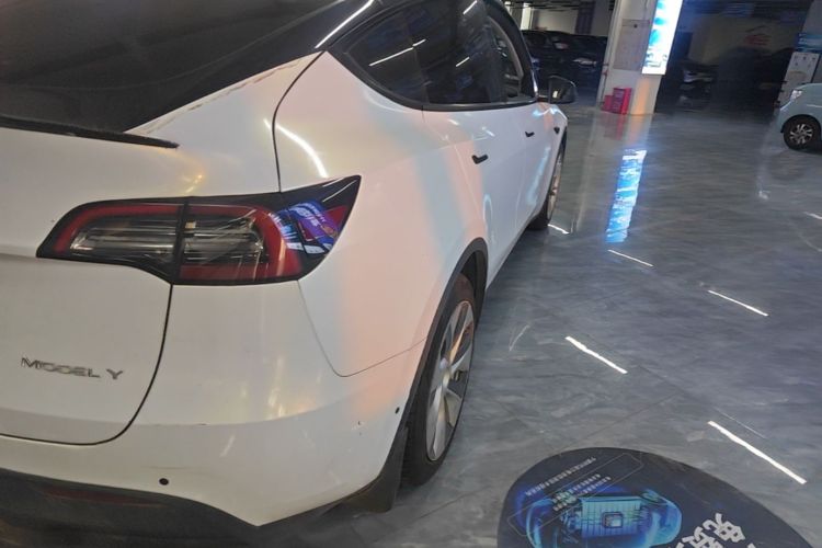 Tesla Model Y 2021 #8 Tesla Model Y 2021 car image #8