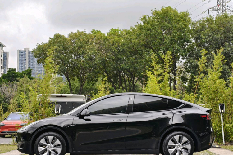 Tesla Model Y 2023 #6 Tesla Model Y 2023 car image #6