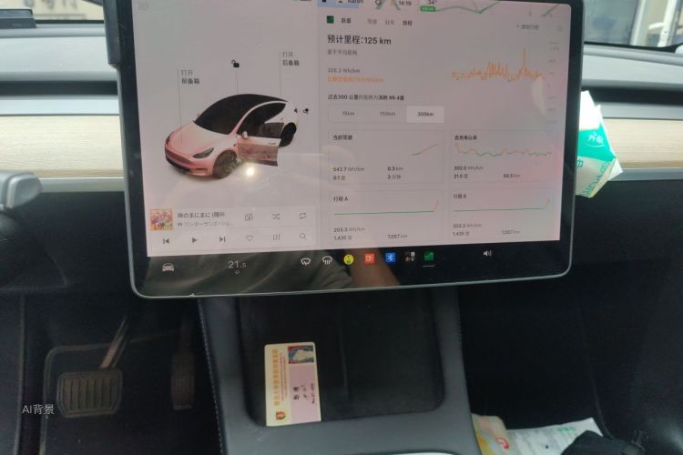 Tesla Model Y 2021 #15 Tesla Model Y 2021 car image #15