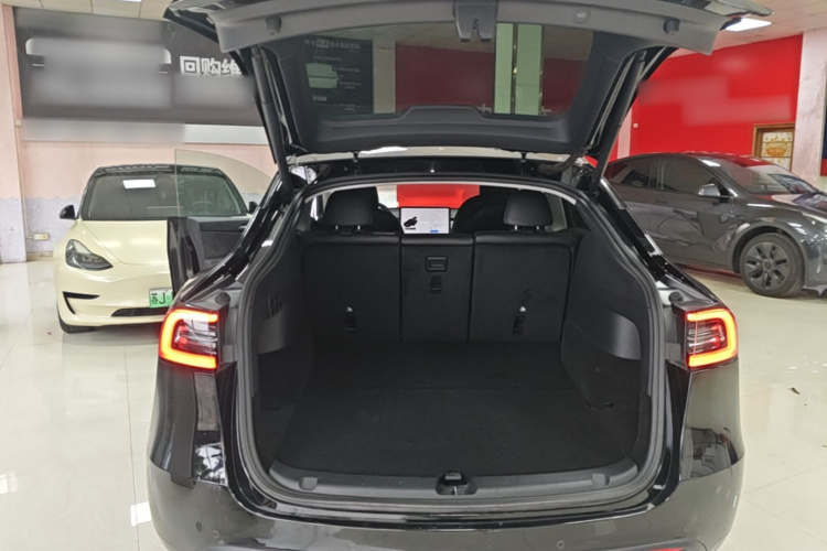 Tesla Model Y 2021 car image #19