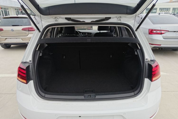 Volkswagen Golf 2019 #21 Volkswagen Golf 2019 car image #21