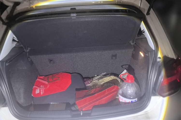 Volkswagen Polo 2015 car image #21