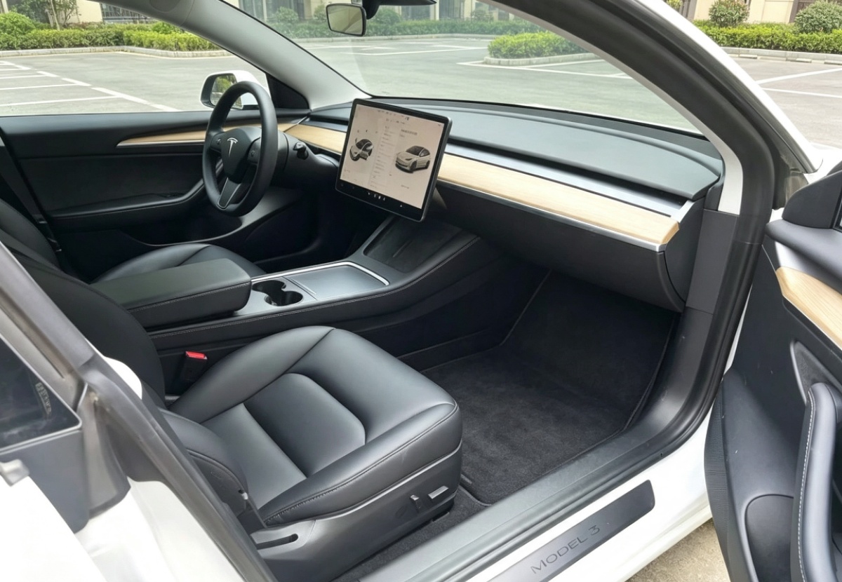 Tesla Model 3 2021 immagine di auto #4