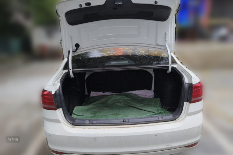 Volkswagen Lavida 2019 car image #21