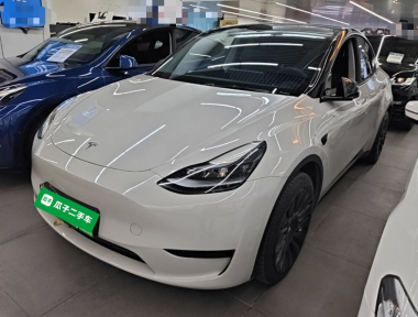 Tesla Model Y 2022 Tesla Model Y 2022 imagen de coche