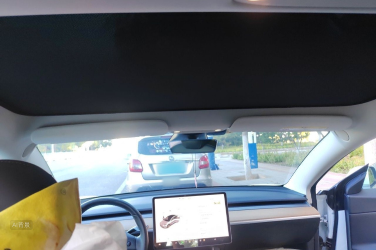 Tesla Model 3 2020 car image #20