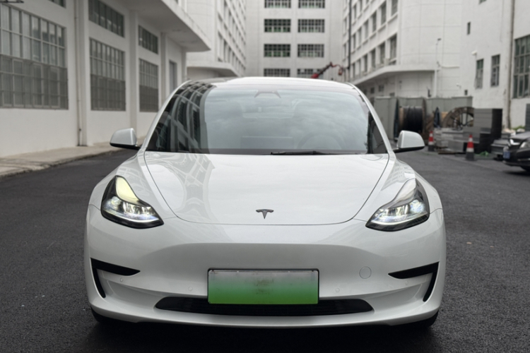 Tesla Model 3 2021 #3 Tesla Model 3 2021 car image #3
