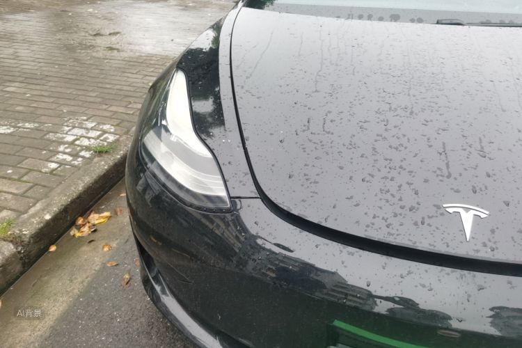 Tesla Model 3 2020 car image #8