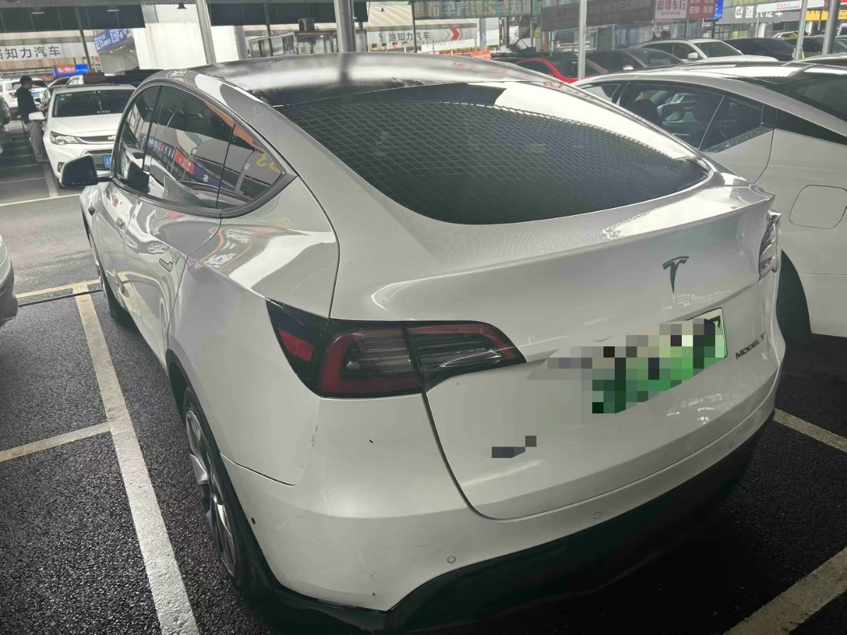 Tesla Model Y 2023 #2 Tesla Model Y 2023 car image #2
