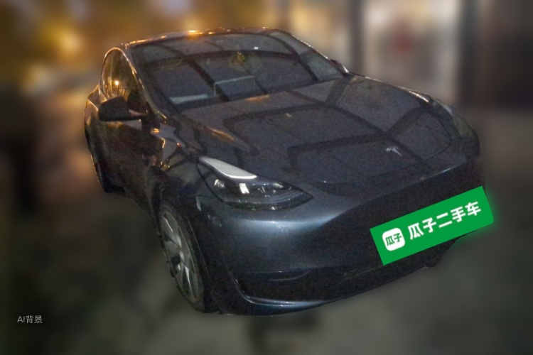 Tesla Model Y 2023 car image #4