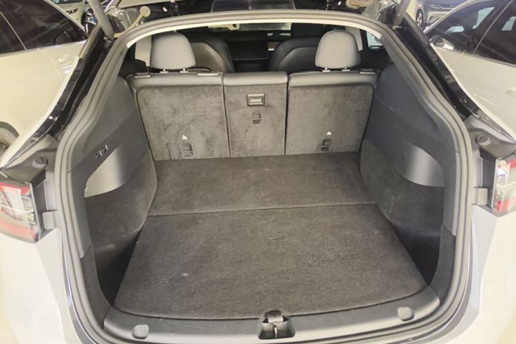 Tesla Model Y 2021 car image #19