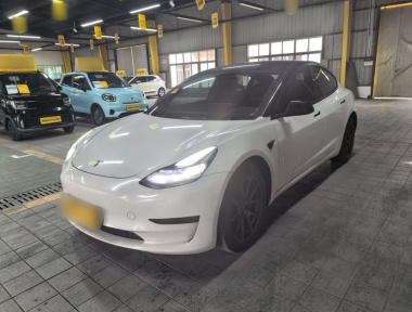 Tesla Model 3 2021 Tesla Model 3 2021 car image