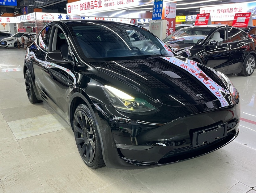 Tesla Model Y 2022 immagine di auto #2