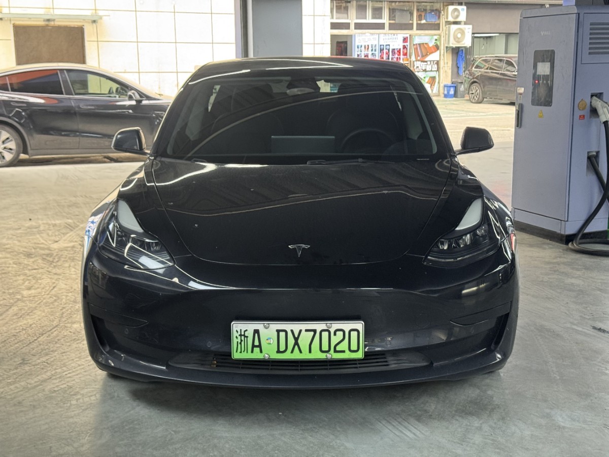 Tesla Model 3 2021 car image #2