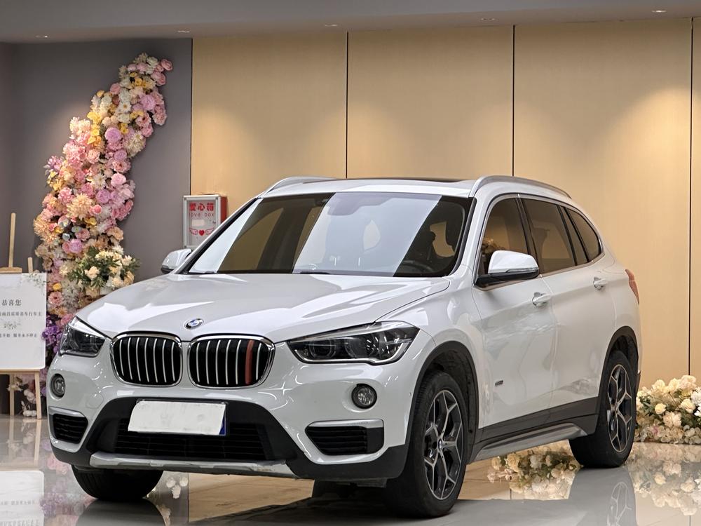 BMW X1 2017 car image 
