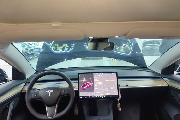 Tesla Model 3 2021 #18 Tesla Model 3 2021 car image #18
