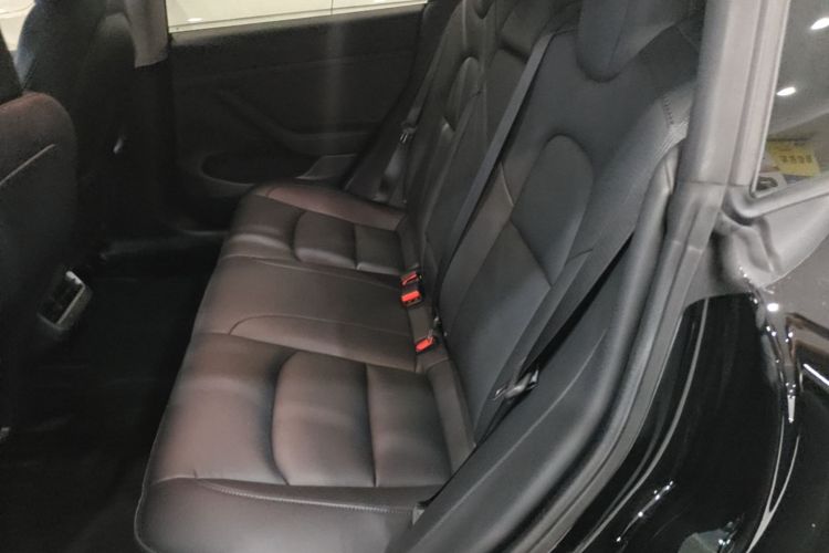 Tesla Model 3 2021 car image #17