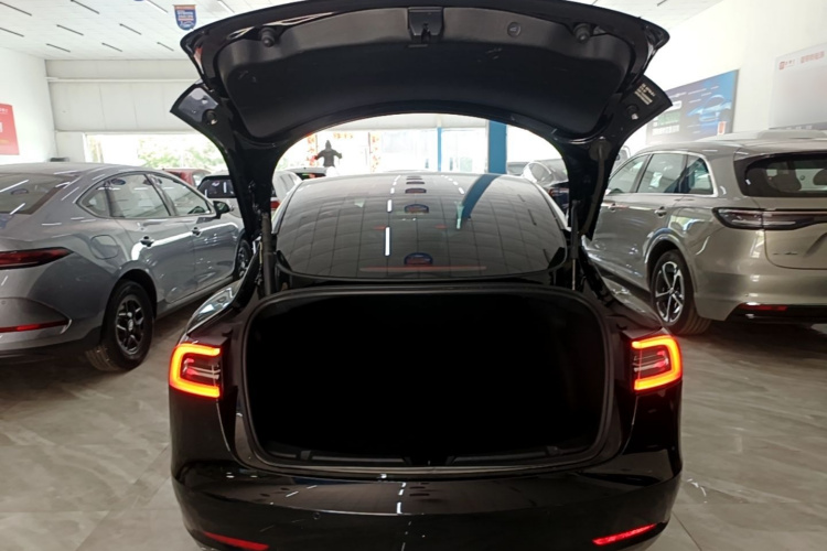 Tesla Model 3 2022 car image #19