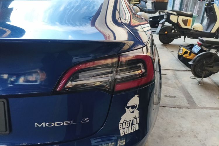 Tesla Model 3 2020 #8 Tesla Model 3 2020 car image #8