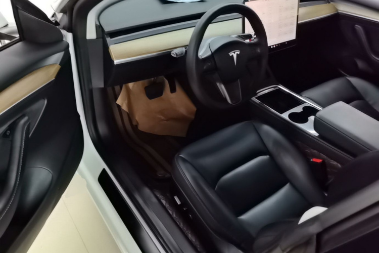Tesla Model 3 2023 car image #16