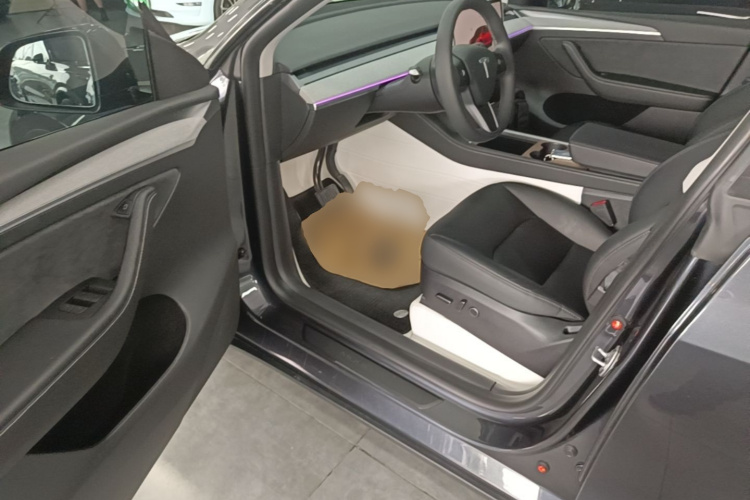 Tesla Model Y 2024 car image #16