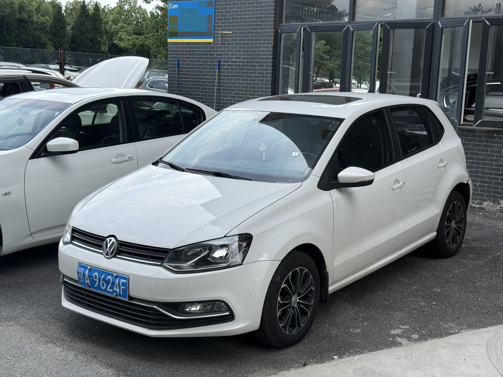 Volkswagen Polo 2016 immagine di auto 