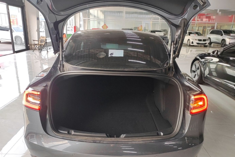 Tesla Model 3 2020 car image #19