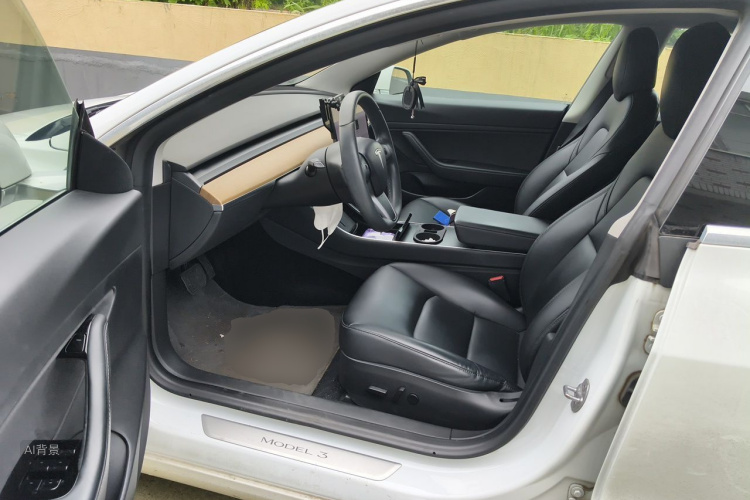 Tesla Model 3 2020 car image #18