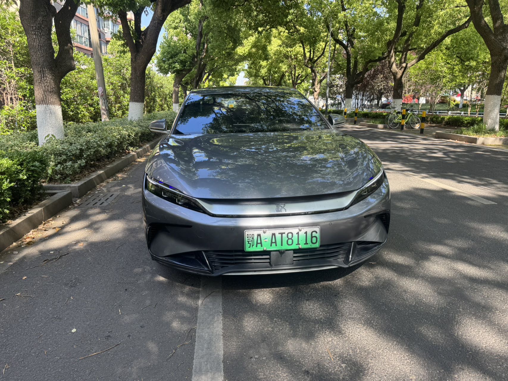 BYD Han 2024 car image #3